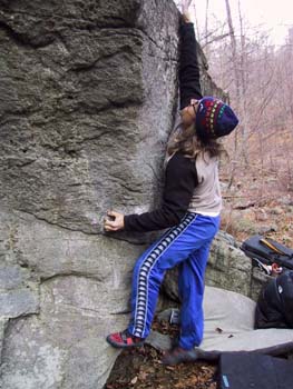 DaddyLongLegs1